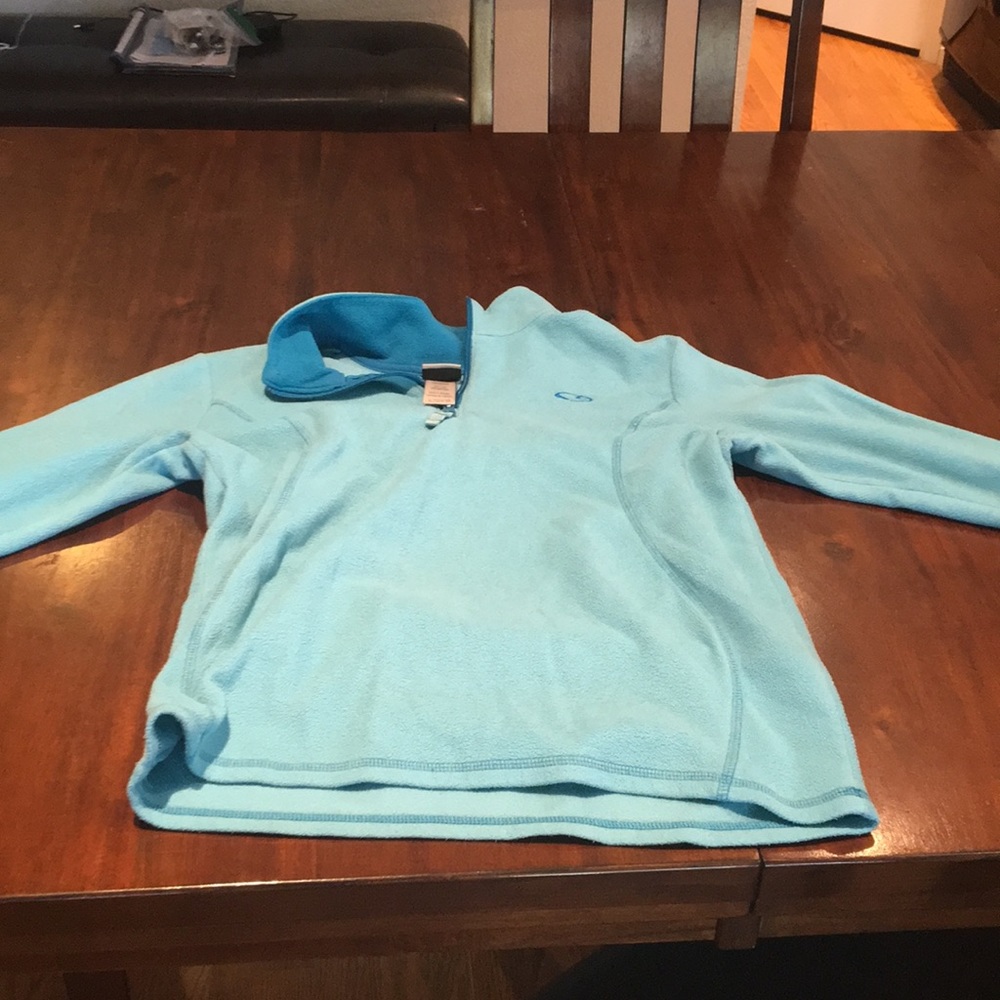 Champion blue sweater